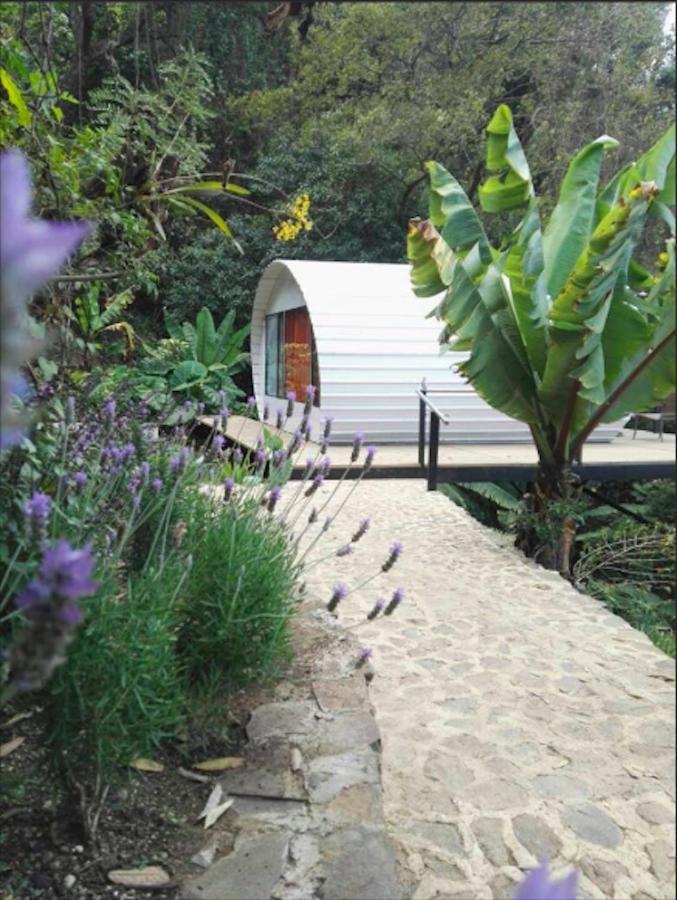 El Tambor Nature Reserve, And Tours Lodge