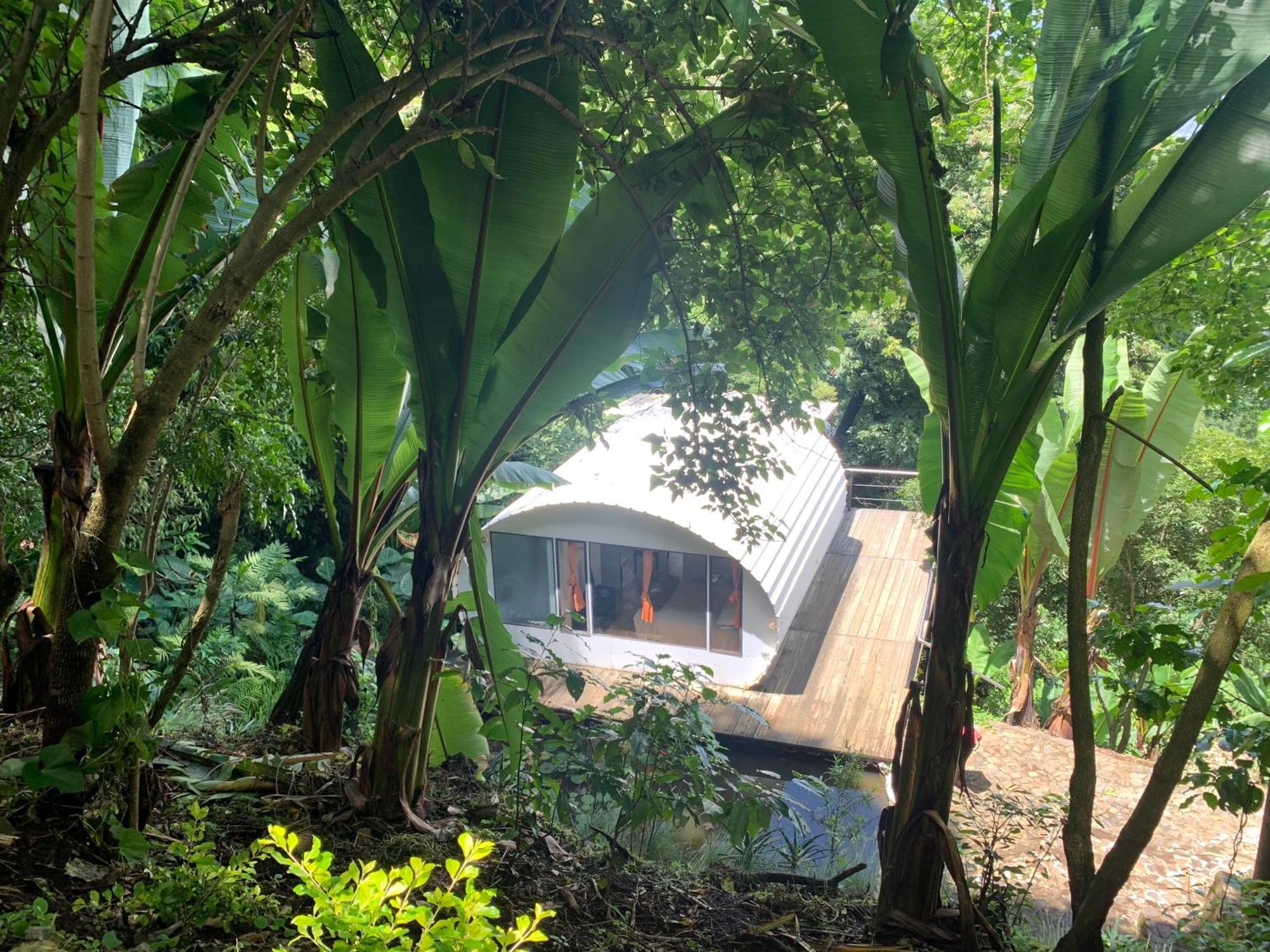 El Tambor Nature Reserve, And Tours