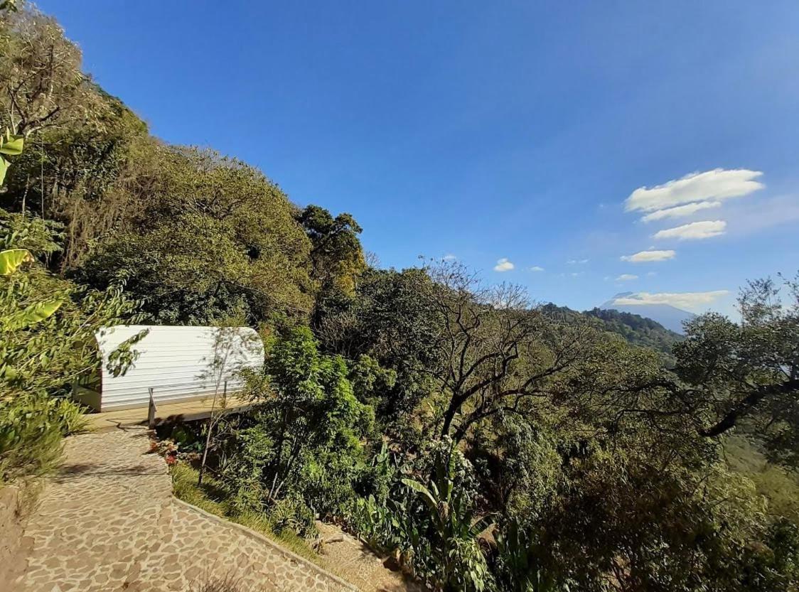 Lodge El Tambor Nature Reserve, And Tours