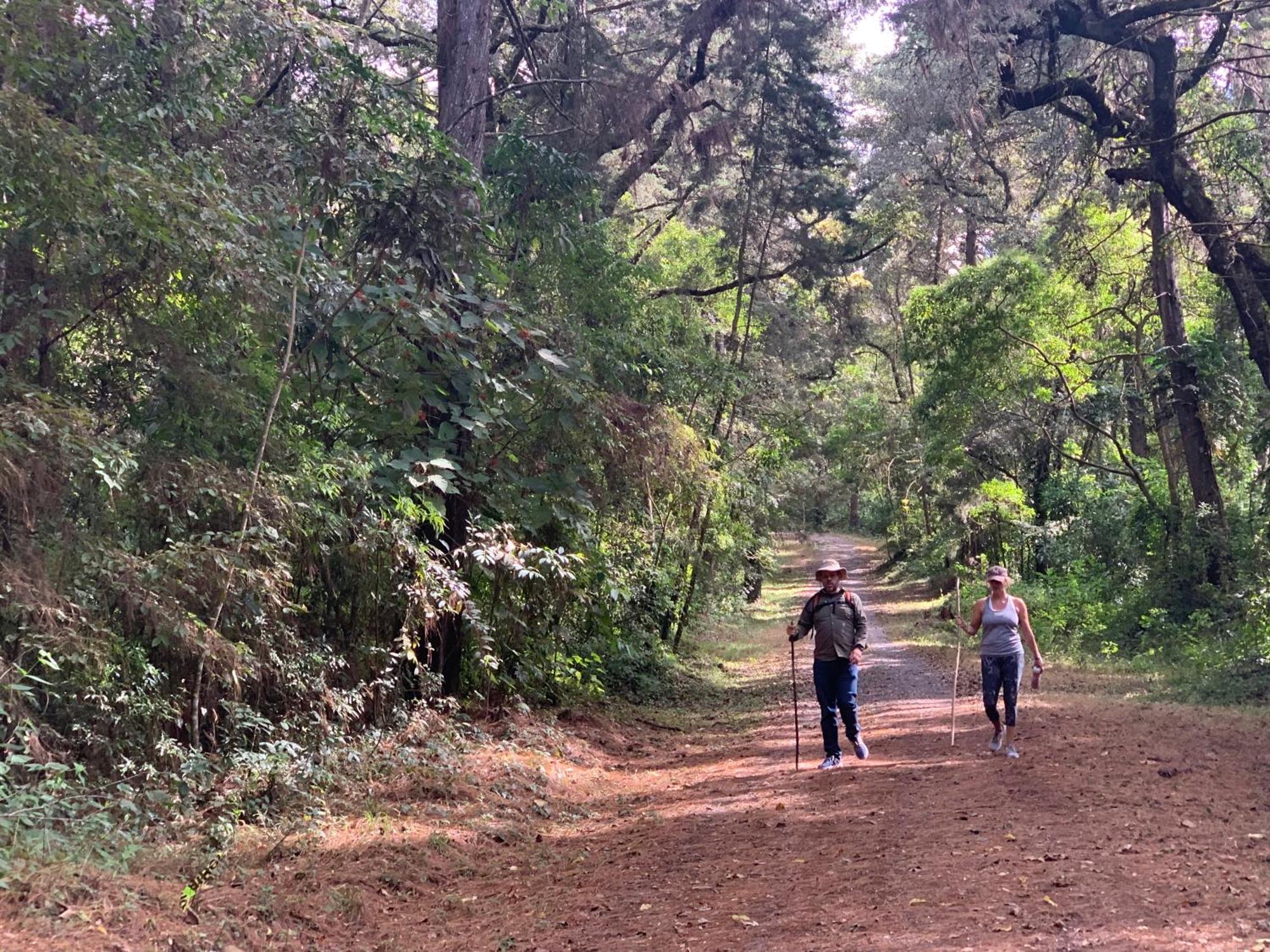 El Tambor Nature Reserve, And Tours