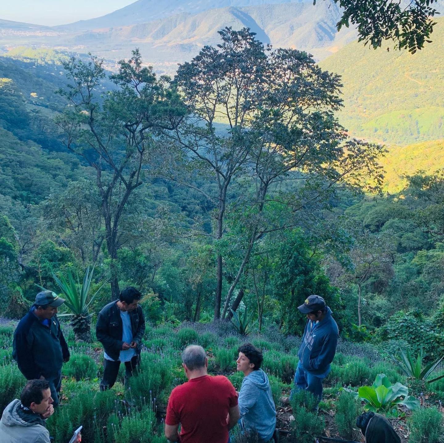 El Tambor Nature Reserve, And Tours Antigua