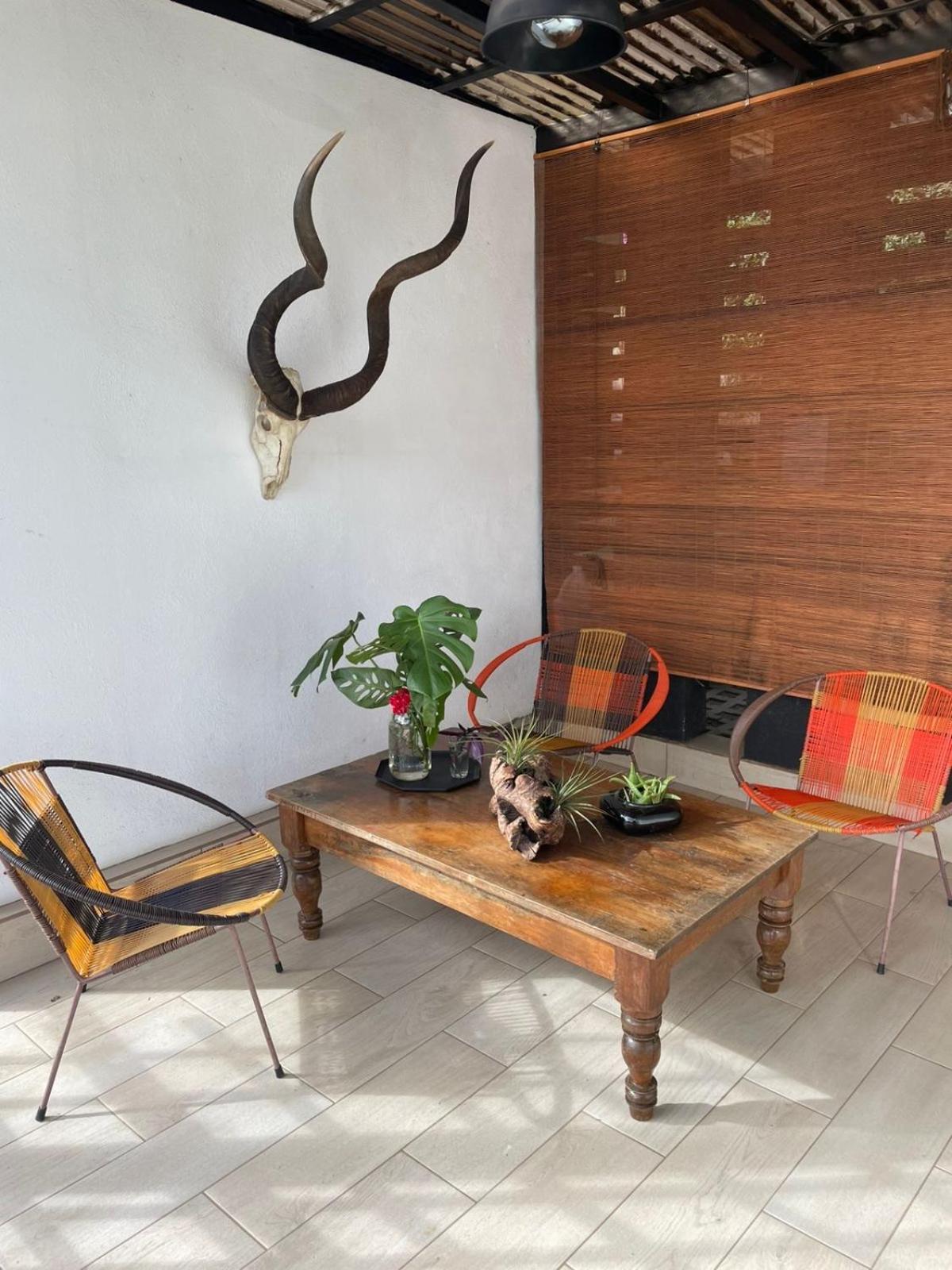 Lodge El Tambor Nature Reserve, And Tours Antigua